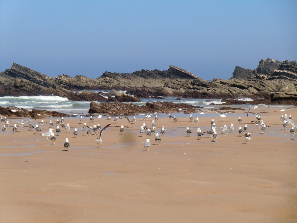 Playa Amalia, Alentejo
