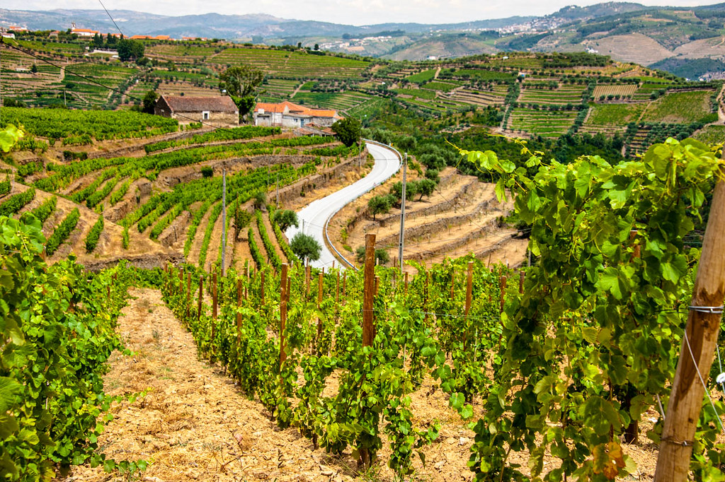 Valle del Duero, Portugal - que ver en el norte de Portugal