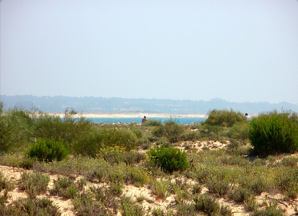 Isla de Tavira, Portugal