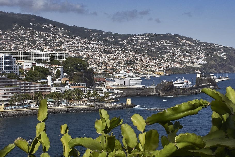 madeira-vista de la ciudad funchal-las islas más bonitas de portugal
