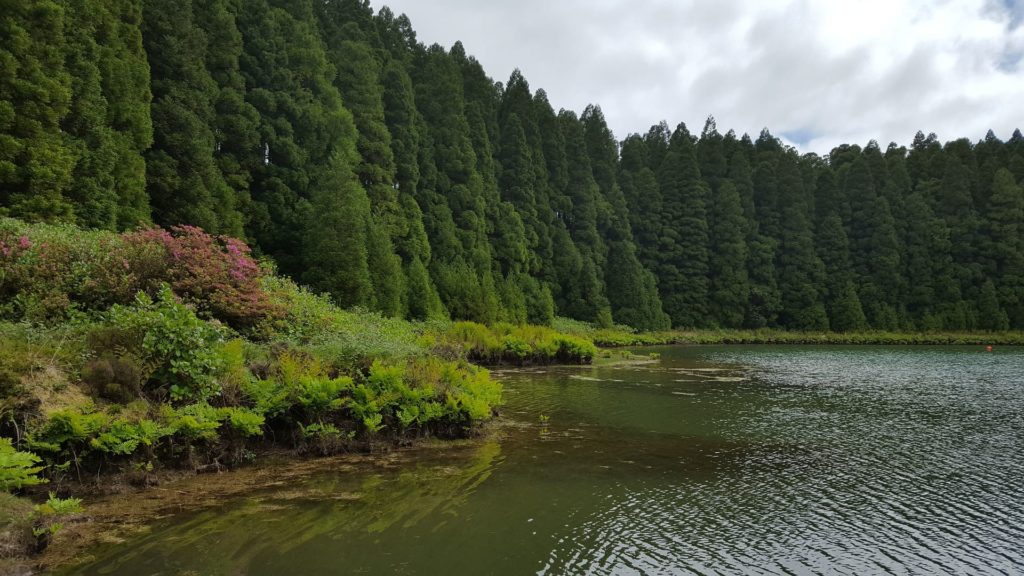 Isla Sao Miguel, Azores, Portugal