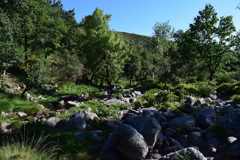 Parque Natural de Alvão