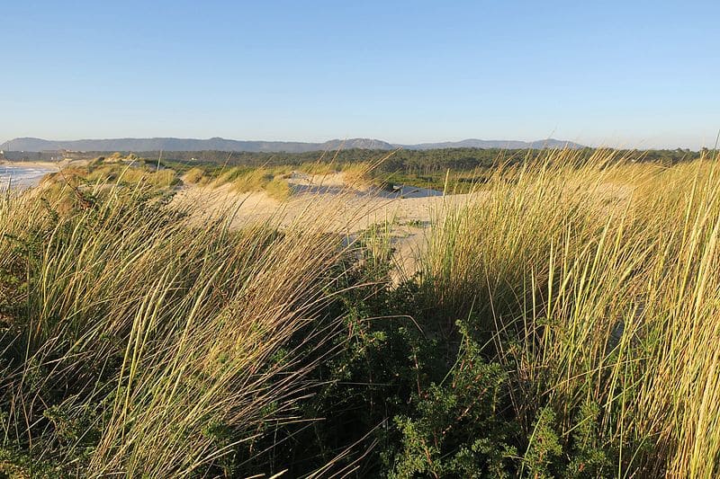 Parque Natural Litoral Norte, Los mejores parques naturales y nacionales de Portugal